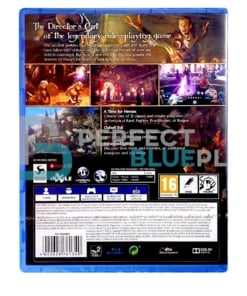 gra ps4 the bard's tale iv director's cut day one edition pl.