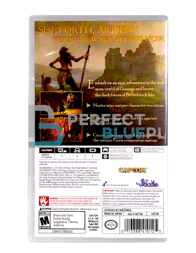 gra nintendo switch dragon's dogma: dark arisen