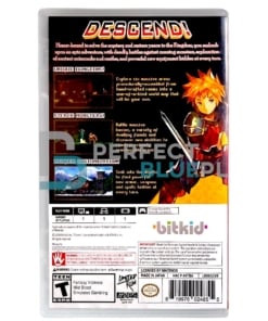 gra nintendo switch chasm / limited run!