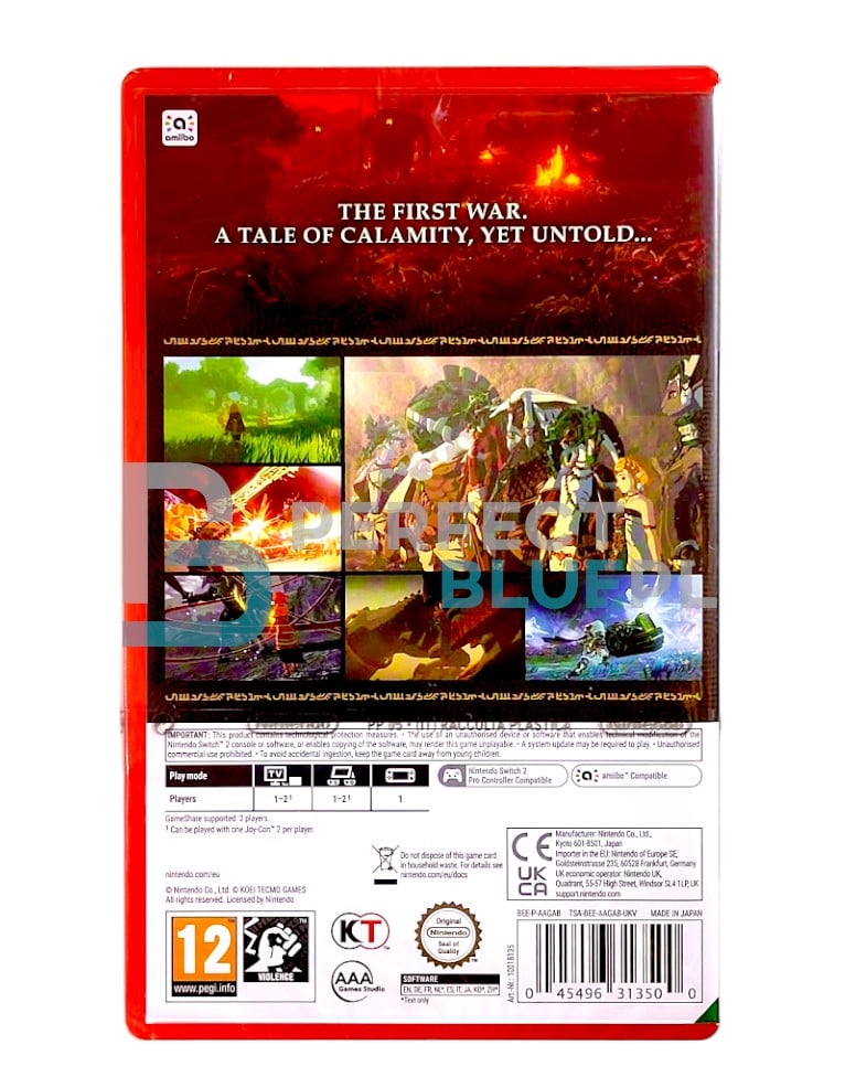 gra nintendo switch 2 hyrule warriors: age of imprisonment