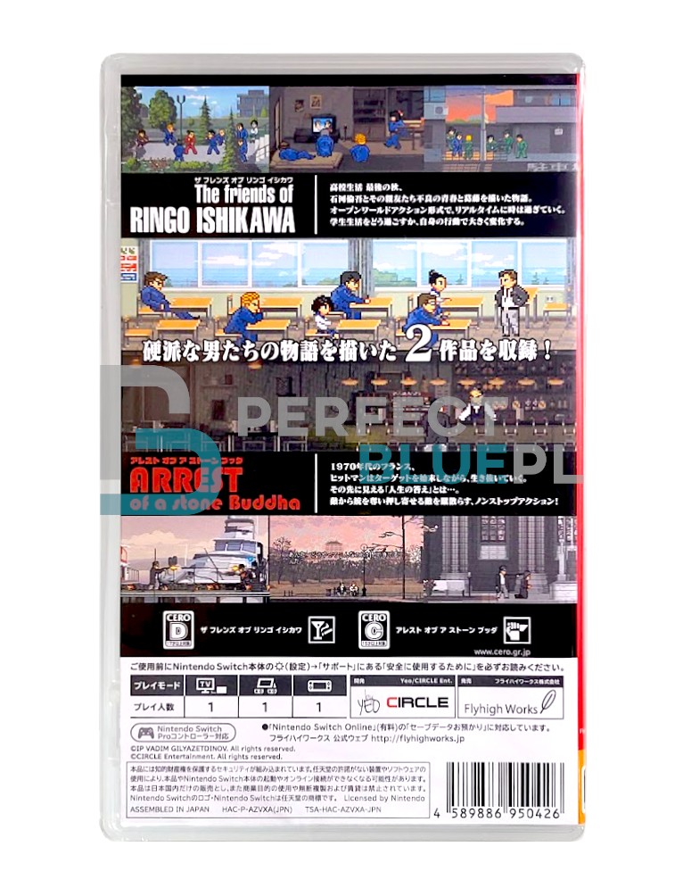 gra nintendo switch the friends of ringo ishikawa & arrest of a stone buddha