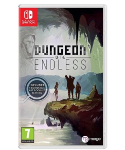 gra nintendo switch dungeon of the endless