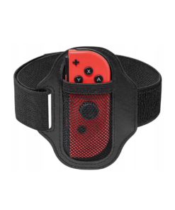 gra nintendo switch sports