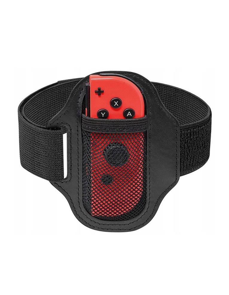 gra nintendo switch sports