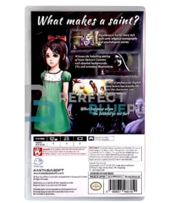 gra nintendo switch saint maker / import