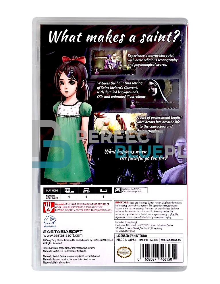 gra nintendo switch saint maker / import