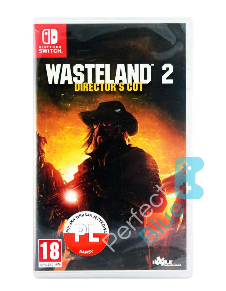 gra nintendo switch wasteland 2 director's cut