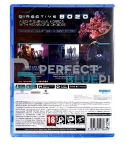 gra ps5 directive 8020