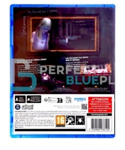 gra ps5 dementium the ward