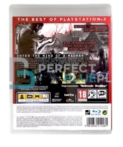 gra ps3 the evil within